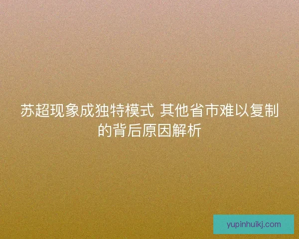 苏超现象成独特模式 其他省市难以复制的背后原因解析